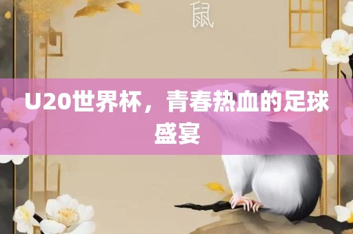 揭秘传奇，1986年世界杯足球盛宴！那些热血沸腾的瞬间！