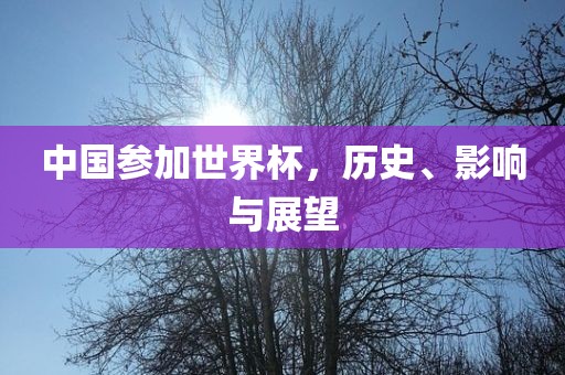 揭秘2018世界杯名单，群星闪耀，期待无限漯河市盈旭机械设备有限公司