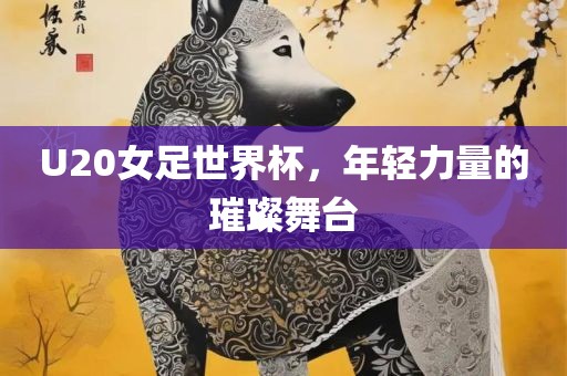 世界杯预选赛规则详解，晋级之路如何走？