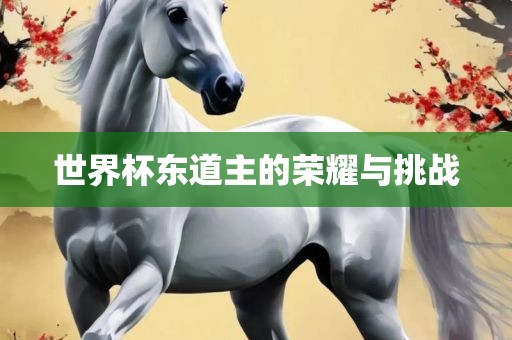 耐克与世界杯，一段辉煌的历程