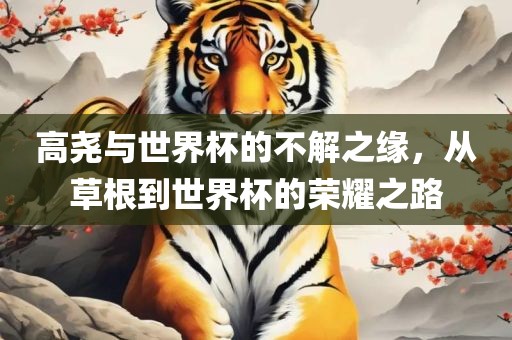 高尧与世界杯的不解漯河市盈旭机械设备有限公司之缘，从草根到世界杯的荣耀之路