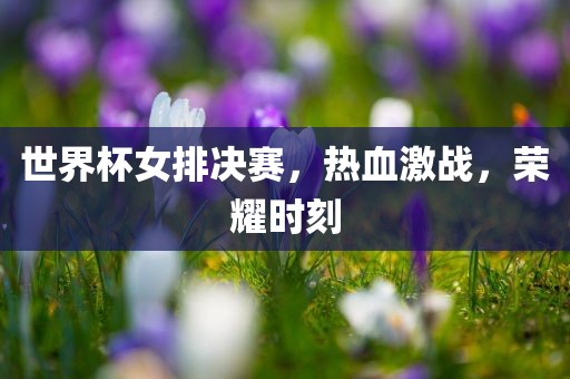 韩国与俄罗斯的世界杯之旅，一次跨越国界的足球盛宴漯河市盈旭机械设备有限公司