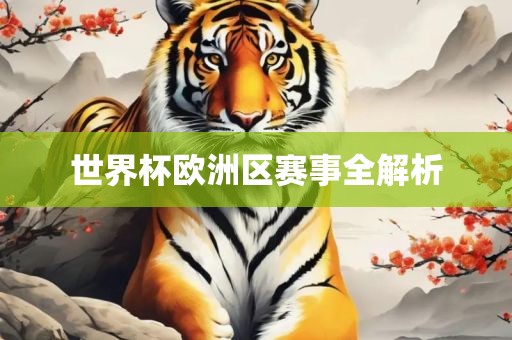 回顾历史经典，2010世界杯决赛