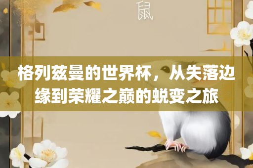 世界杯名人堂，星光璀璨，传奇永载