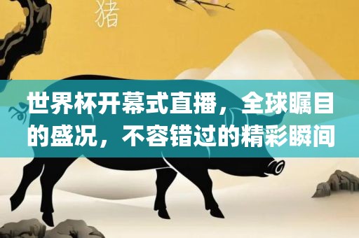 揭秘世界杯背后的故事，乳神与球迷的激情碰撞——2014世界杯乳神传奇