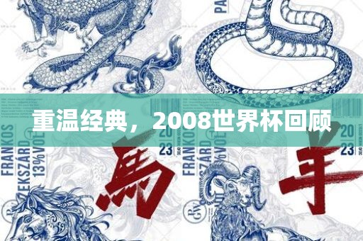 南美洲世界杯名额解析，究竟有几个名额？