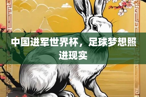 世界杯预选赛积分，解析赛事进程与竞争态势