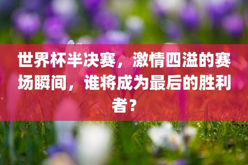 世界杯赛程，精彩纷呈的足球盛宴