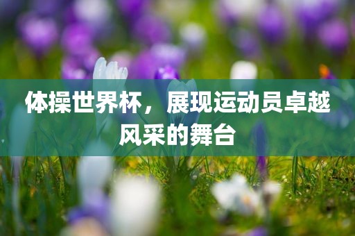 世界杯背后的搞笑瞬间，球迷、球员与赛事的欢乐碰撞