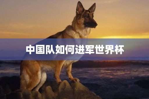 美国男篮世界杯，从梦之队到挑战者的转变之路漯河市盈旭机械设备有限公司