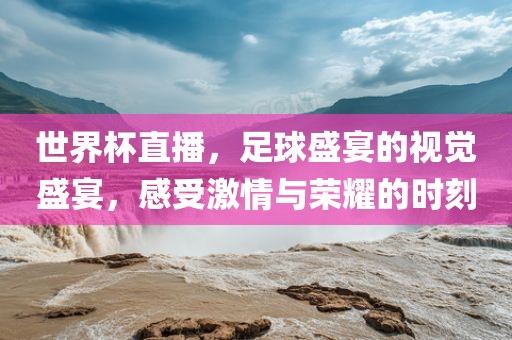 世界杯门票，获取方式、注意事项及更多细节解读